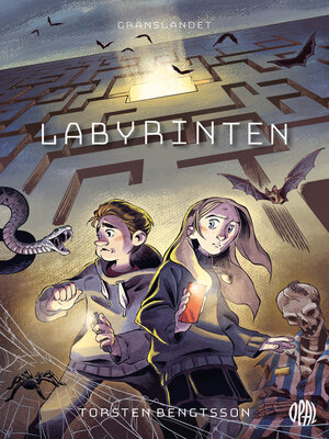 cover image of Labyrinten